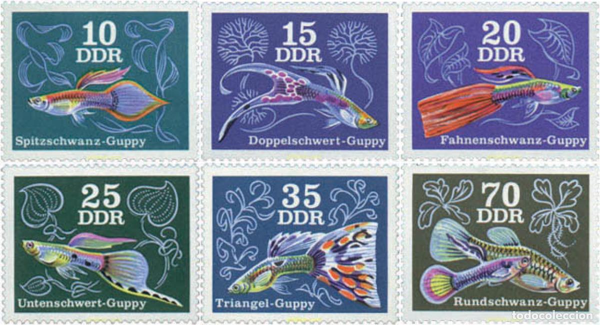 Sellos: 64601 MNH ALEMANIA DEMOCRATICA 1976 PECES DE ACUARIO