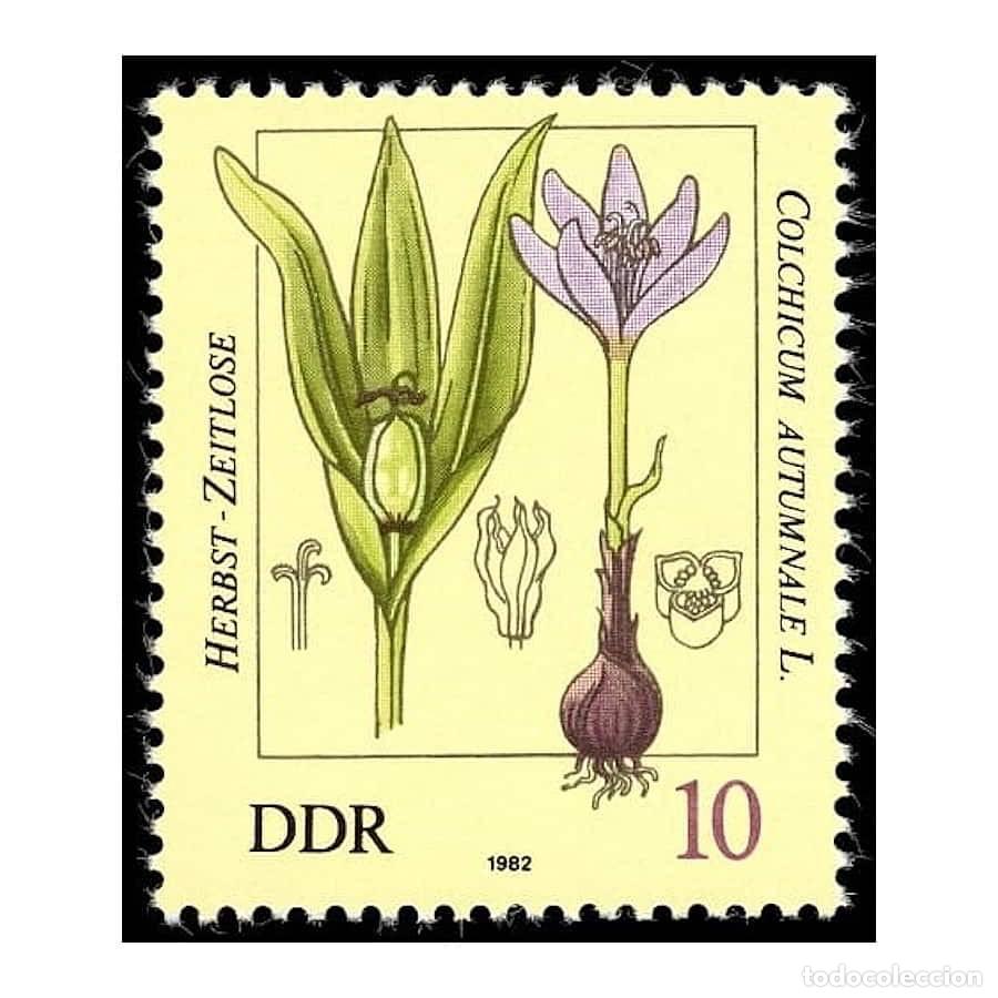 Sellos: DDR 1982 [SLL] Plantas Medicinales, 10 Pf (MNH)