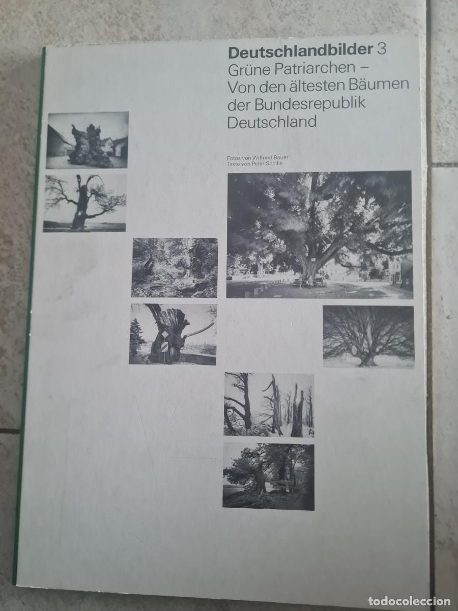 Sellos: Gr&uuml;ne Patriarchen Von den &auml;ltesten B&auml;umen