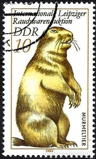 Sellos: Alemania ( RDA ) 1982 - Mi 2677 - YT 2330 - Fauna : Marmota