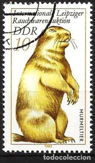 Sellos: Alemania ( RDA ) 1982 - Mi 2677 - YT 2330 - Fauna : Marmota