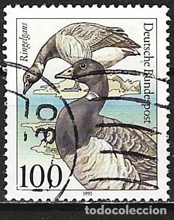Sellos: Alemania 1991 - Mi 1541 - YT 1369 - Ave : Gansos