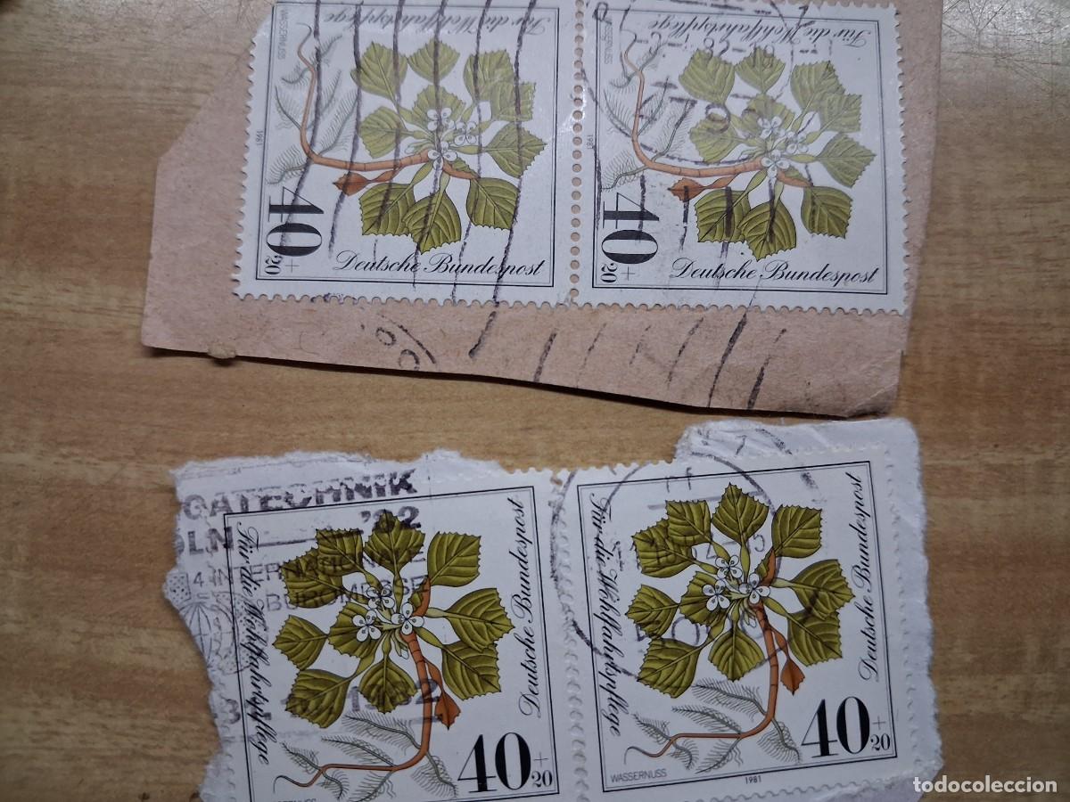 Sellos: lote 4 sello deutsche bundespost - 40 - flores