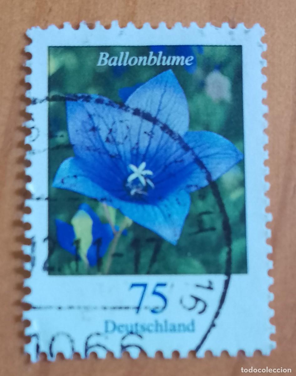 Sellos: ALEMANIA - V/F 75 - FLORA, PLANTA PERENNE, BALLONBLUME