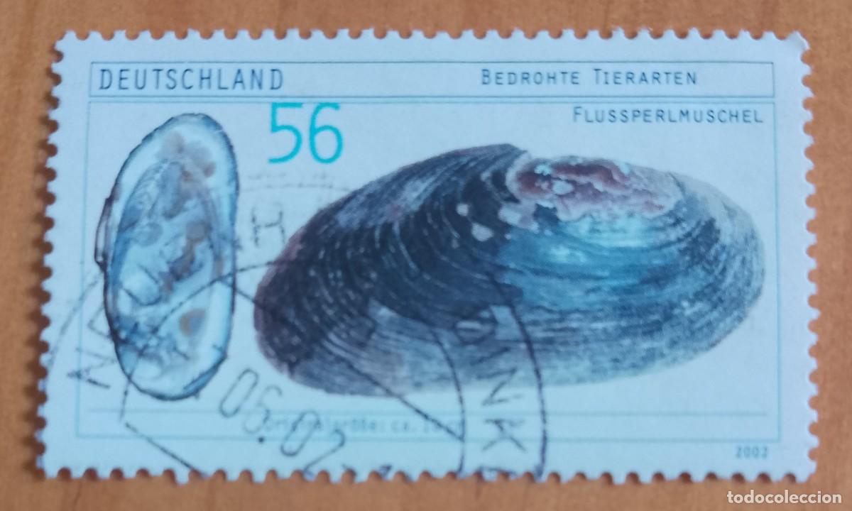 Sellos: ALEMANIA - V/F 56 - MEJIILL&Oacute;N, PERLERO DE AGUA DULCE.