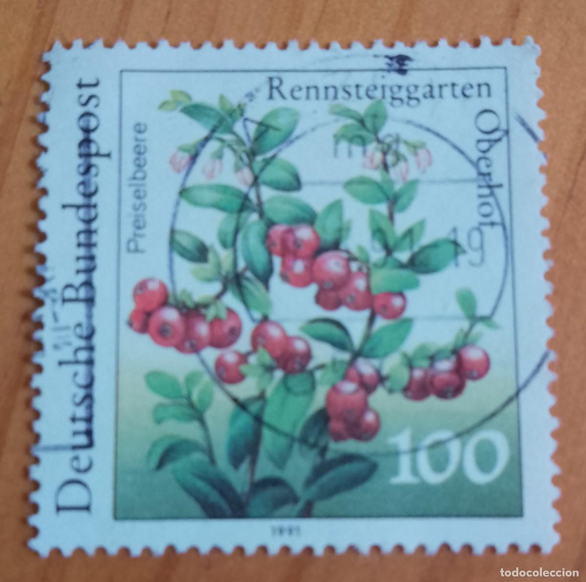 Sellos: ALEMANIA - V/F 100 - A&Ntilde;O 1991 - FLORA, AR&Aacute;NDONO.