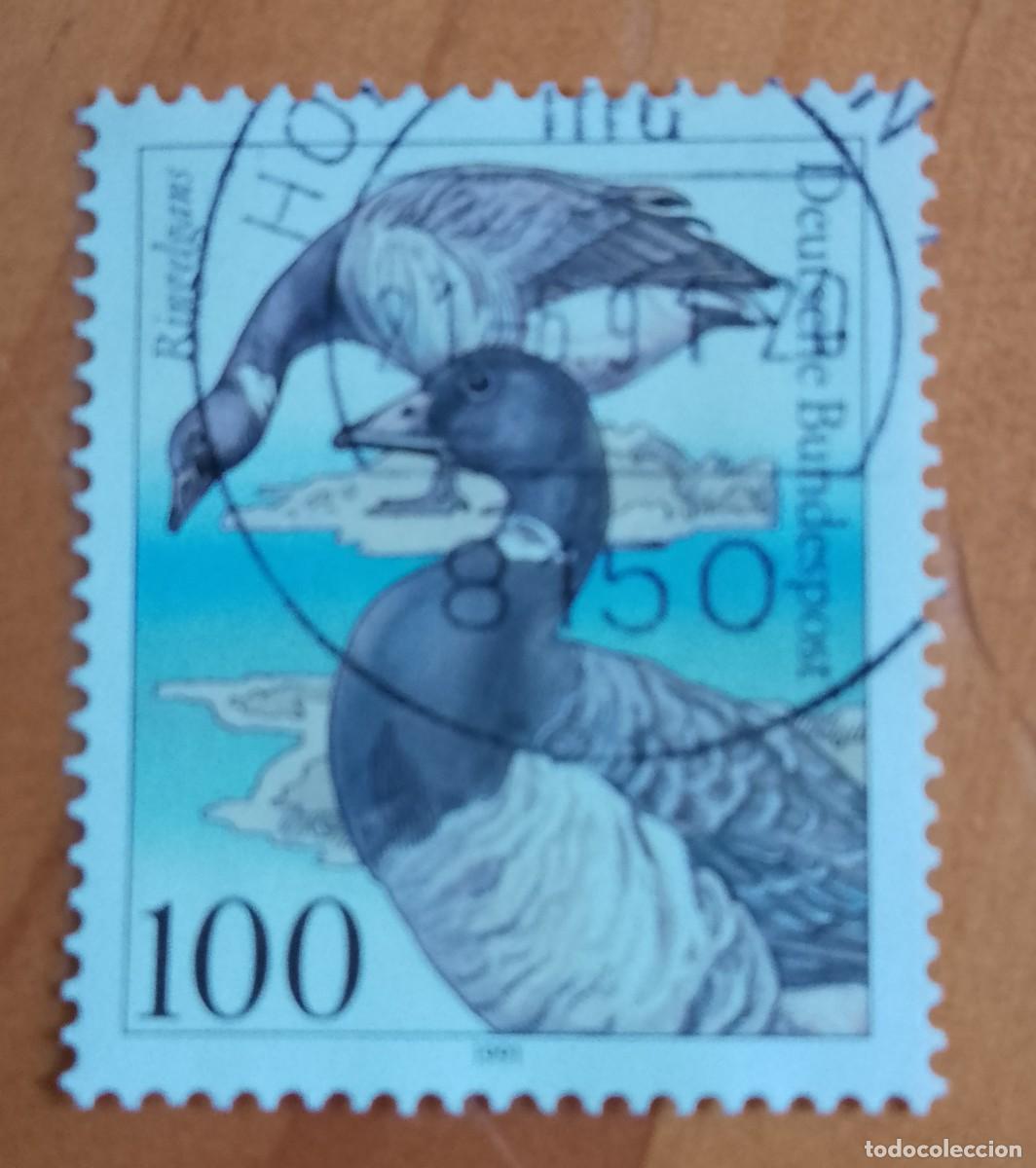 Sellos: ALEMANIA - V/F 100 - A&Ntilde;O 1991 - FAUNA, AVE, PAJAROGANSO, RINGELGANS