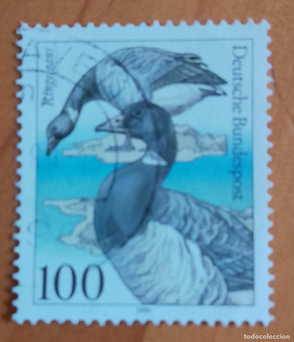 Sellos: ALEMANIA - V/F 100 - A&Ntilde;O 1991 - FAUNA, AVE, PAJAROGANSO, RINGELGANS