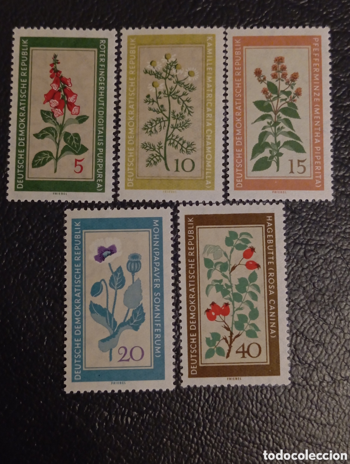 Sellos: DDR (RDA) 1960 - Serie Plantas Medicinales Completa - Michel 757-761 MNH