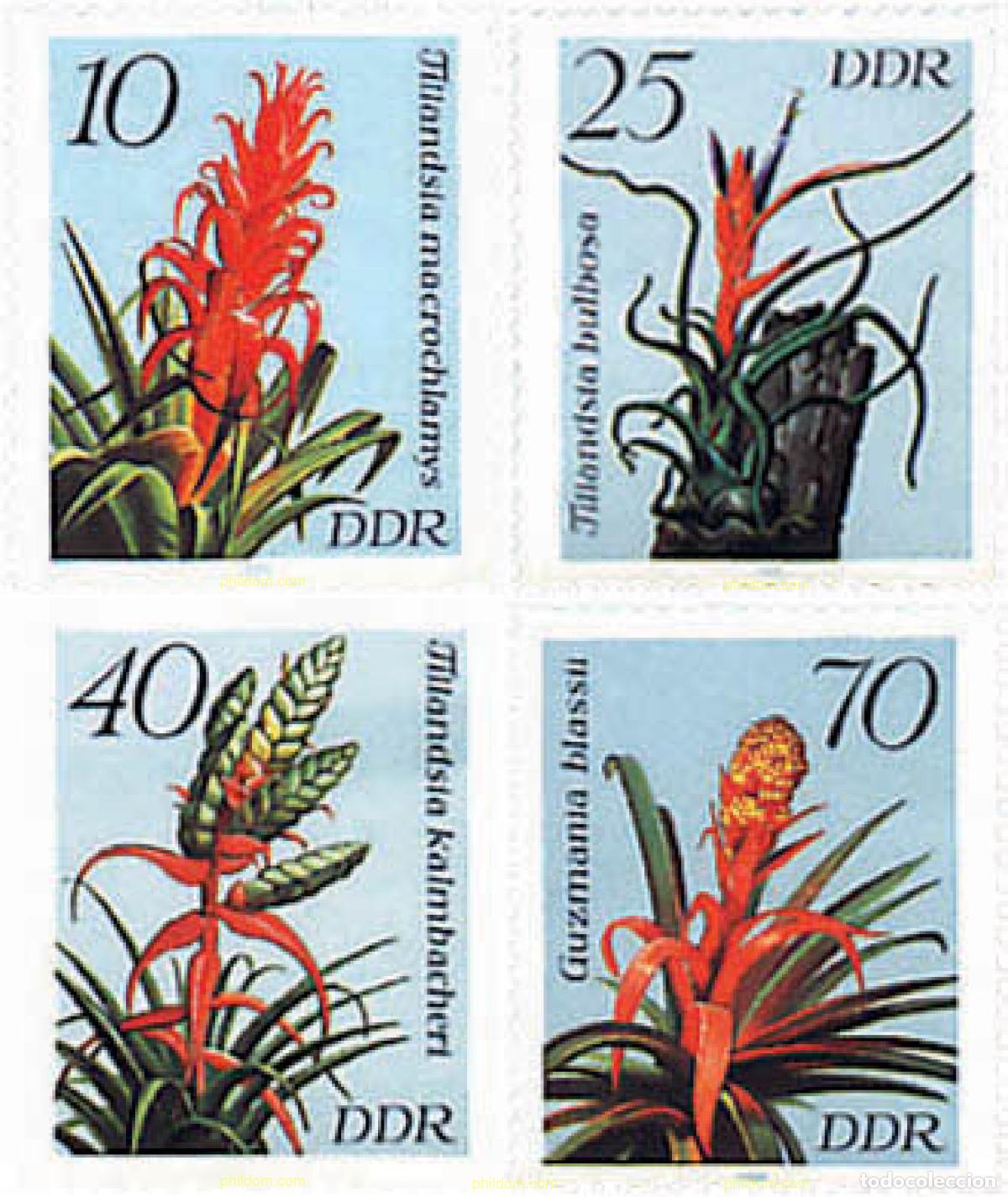 Sellos: 80008 MNH ALEMANIA DEMOCRATICA 1988 PLANTAS ORNAMENTALES EN FLOR