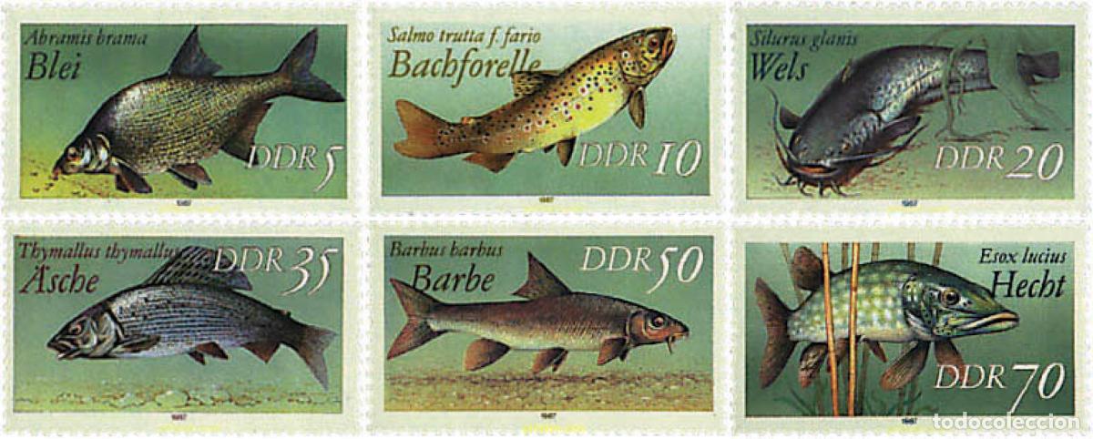 Sellos: 64656 MNH ALEMANIA DEMOCRATICA 1987 PECES