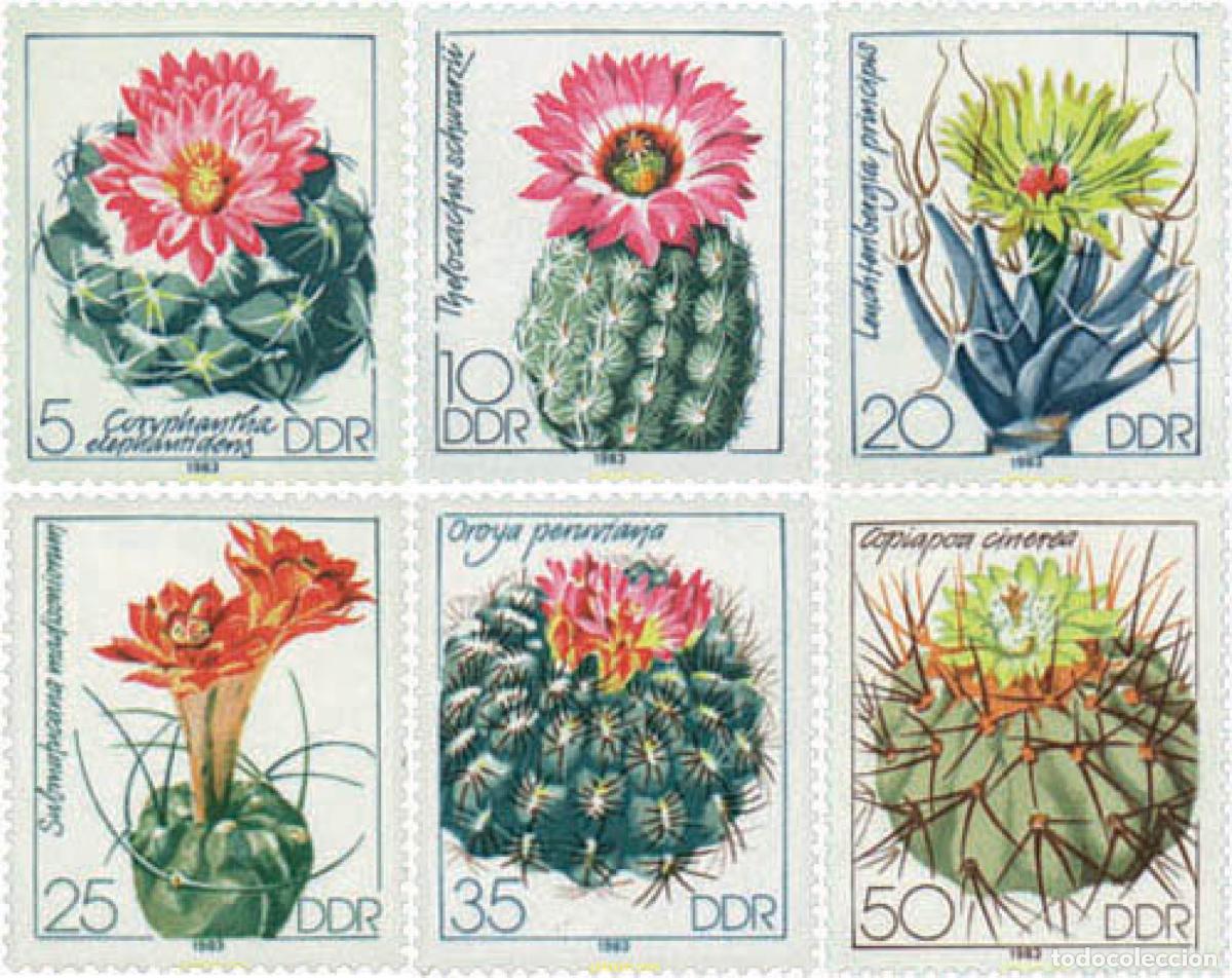 Sellos: 82004 MNH ALEMANIA DEMOCRATICA 1983 CACTUS CULTIVADOS EN ALEMANIA DEMOCRATICA