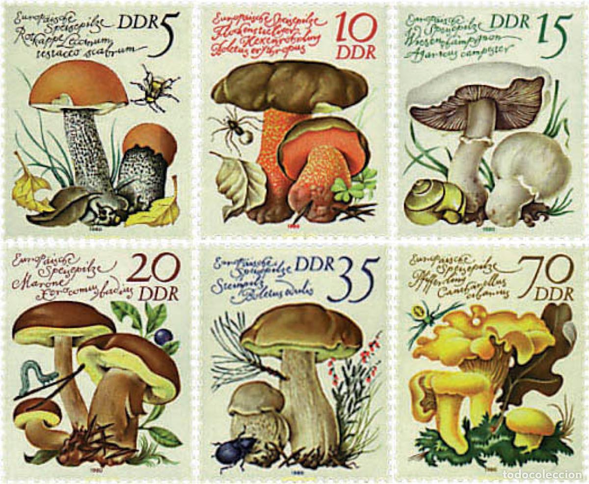 Sellos: 36237 MNH ALEMANIA DEMOCRATICA 1980 SETAS COMESTIBLES DE EUROPA
