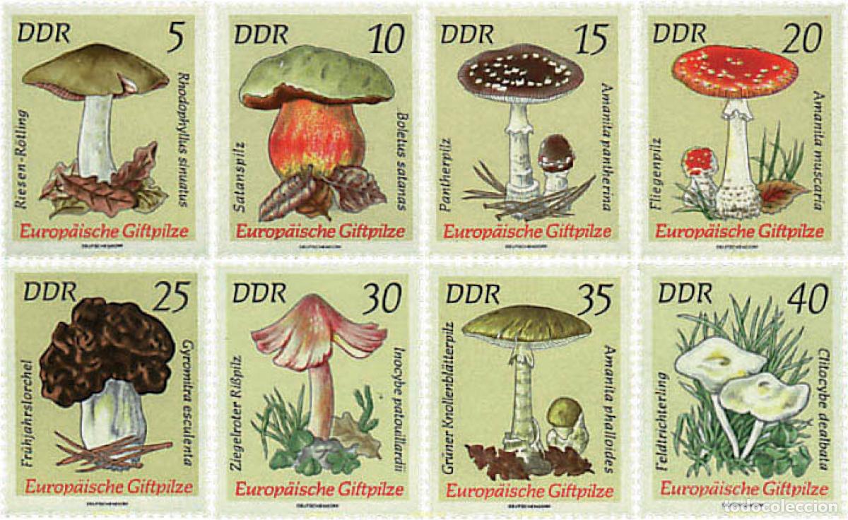 Sellos: 34623 MNH ALEMANIA DEMOCRATICA 1974 SETAS VENENOSAS