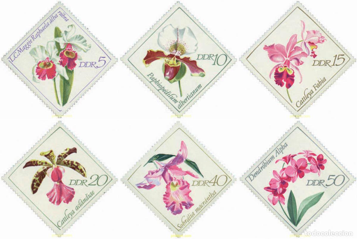 Sellos: 79971 MNH ALEMANIA DEMOCRATICA 1968 ORQUIDEAS