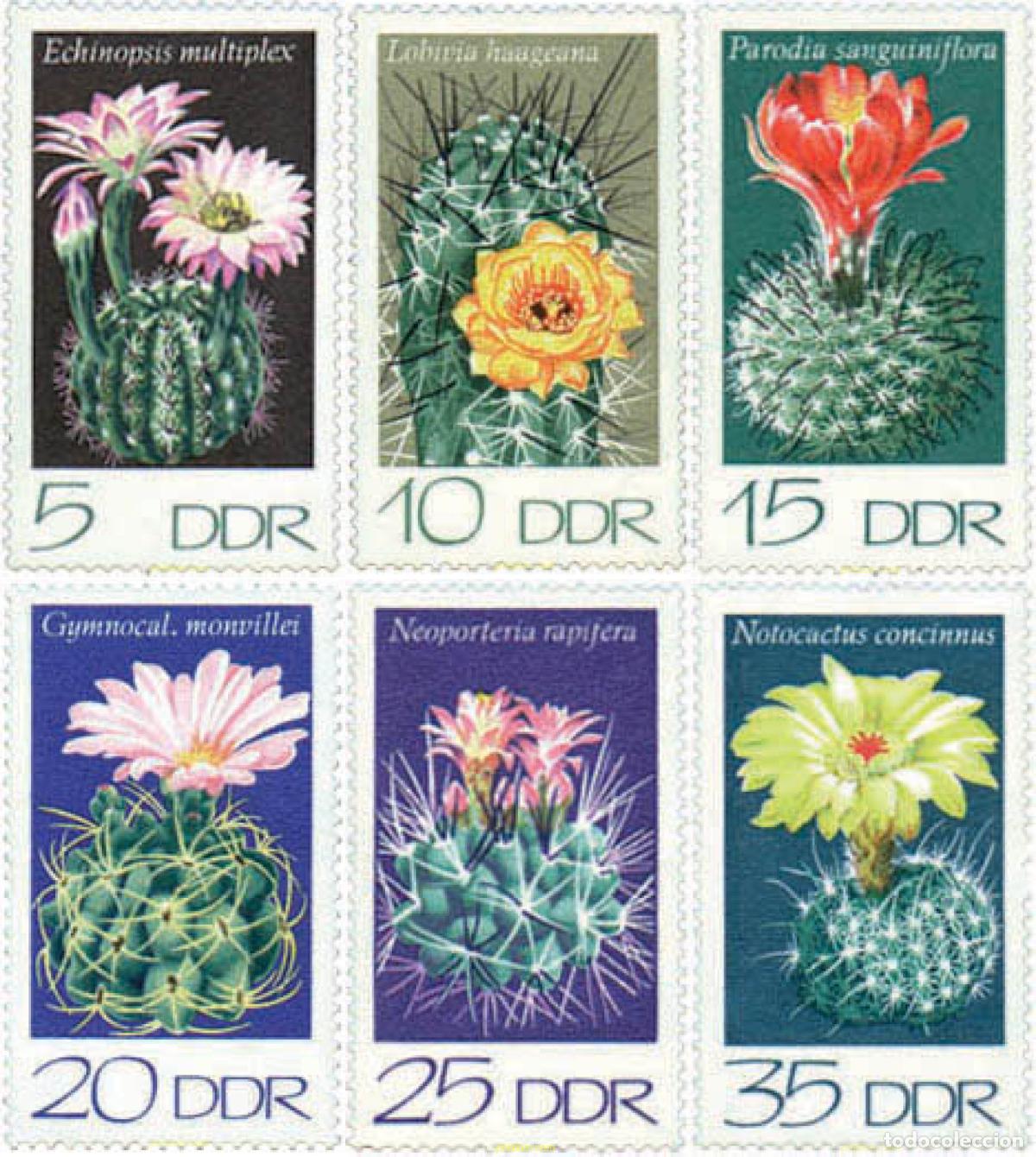 Sellos: 79979 MNH ALEMANIA DEMOCRATICA 1974 CACTUS CULTIVADOS EN ALEMANIA DEMOCRATICA