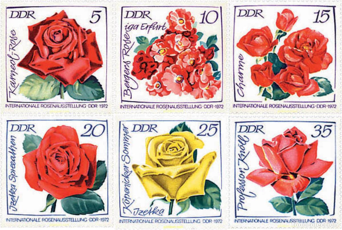 Sellos: 99277 MNH ALEMANIA DEMOCRATICA 1972 EXPOSICION INTERNACIONAL DE ROSAS