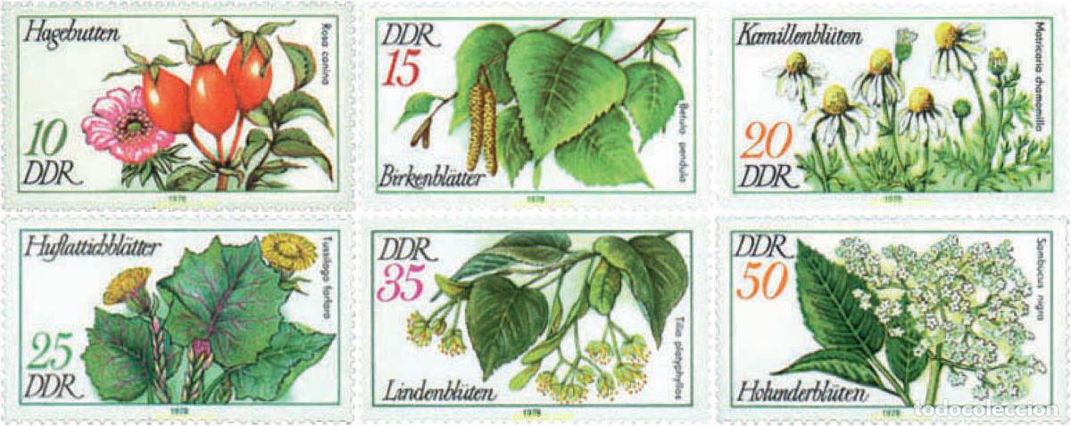 Sellos: 79984 MNH ALEMANIA DEMOCRATICA 1978 PLANTAS MEDICINALES