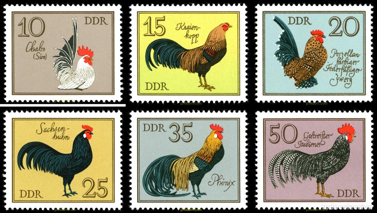 Sellos: 64619 MNH ALEMANIA DEMOCRATICA 1979 GALLOS DE RAZA