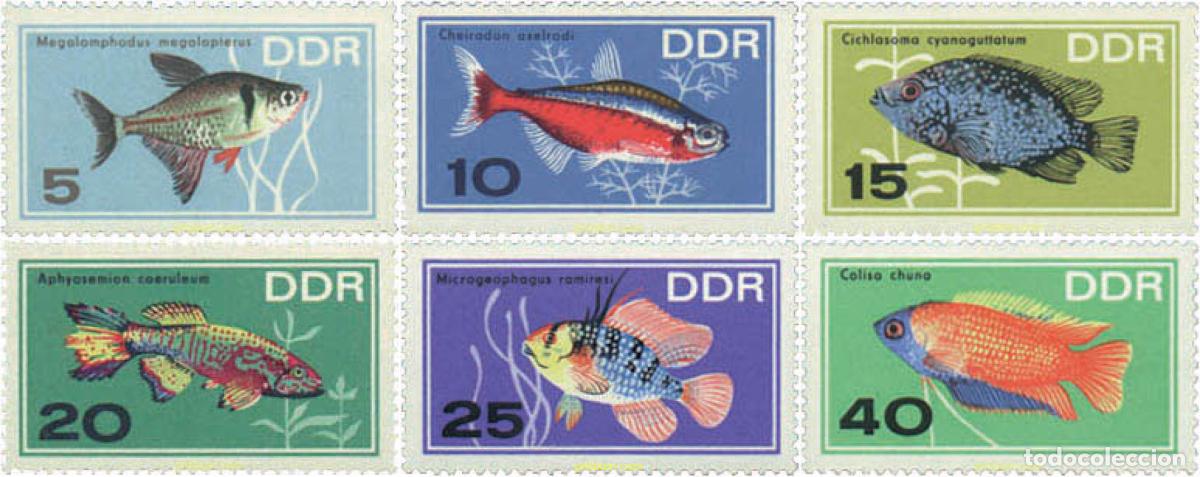 Sellos: 64517 MNH ALEMANIA DEMOCRATICA 1966 PECES