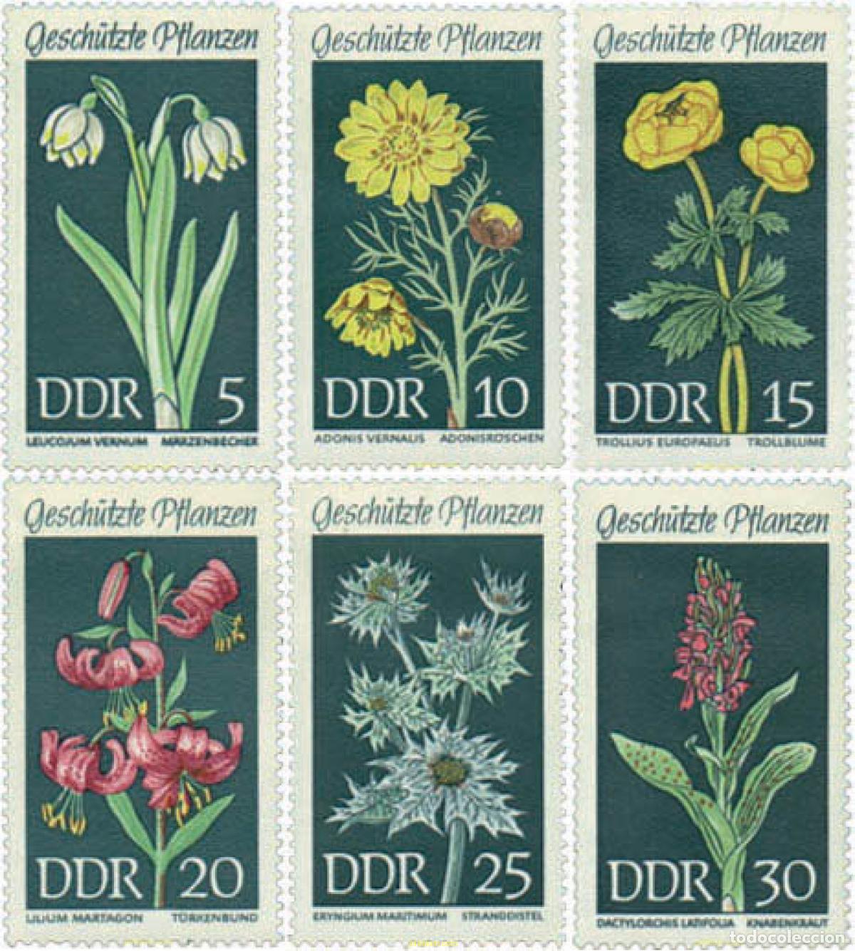 Sellos: 79975 MNH ALEMANIA DEMOCRATICA 1969 PLANTAS PROTEGIDAS