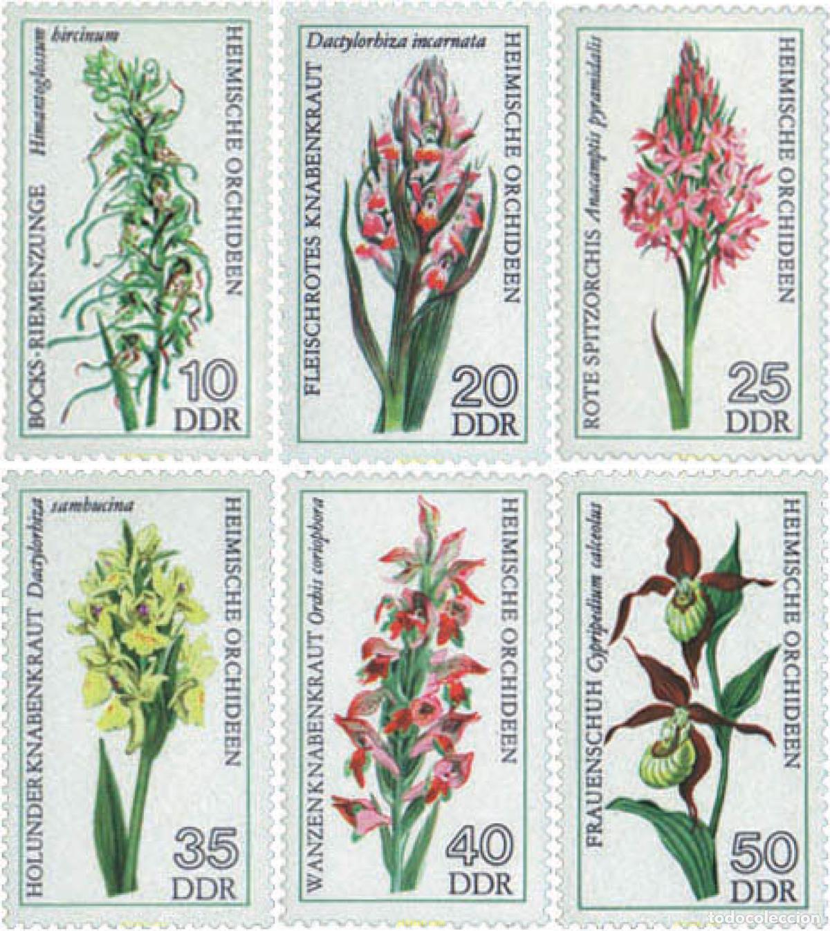 Sellos: 79983 MNH ALEMANIA DEMOCRATICA 1976 ORQUIDEAS