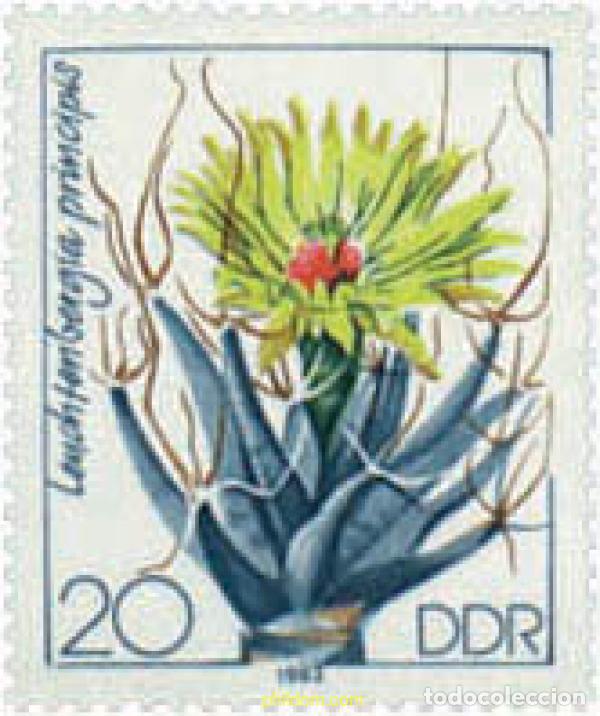 Sellos: 222321 MNH ALEMANIA DEMOCRATICA 1983 CACTUS CULTIVADOS EN ALEMANIA DEMOCRATICA