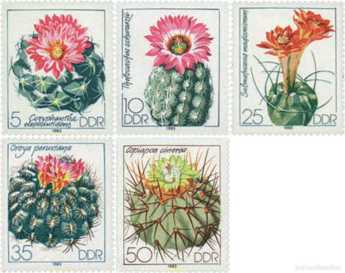Sellos: 222331 MNH ALEMANIA DEMOCRATICA 1983 CACTUS CULTIVADOS EN ALEMANIA DEMOCRATICA