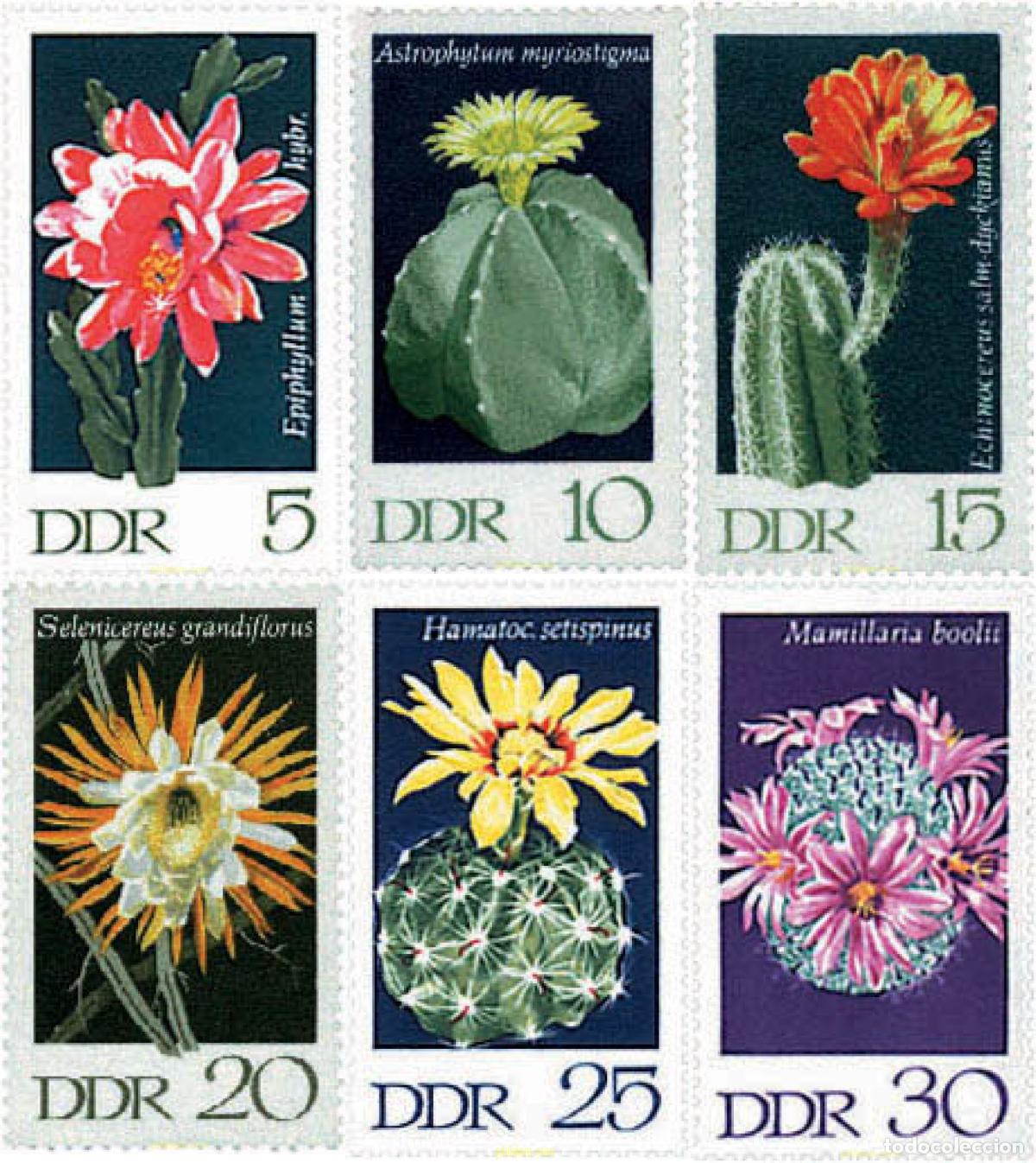 Sellos: 338830 HINGED ALEMANIA DEMOCRATICA 1970 CACTUS