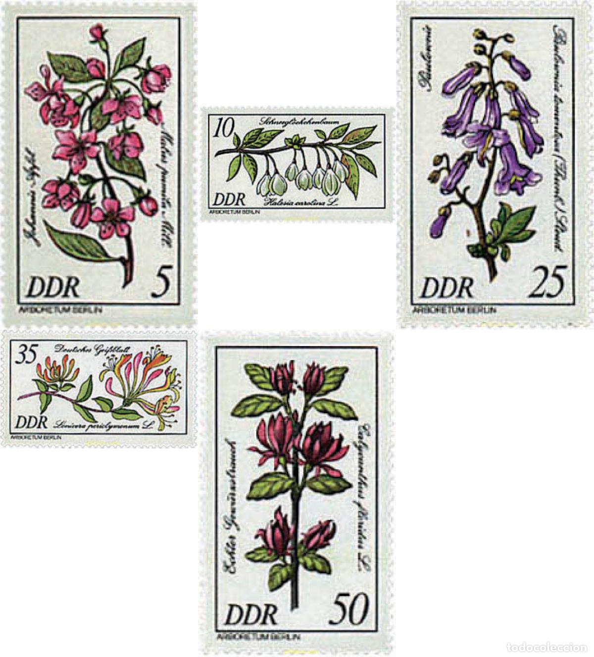 Sellos: 203007 MNH ALEMANIA DEMOCRATICA 1981 ARBOLES Y ARBUSTOS