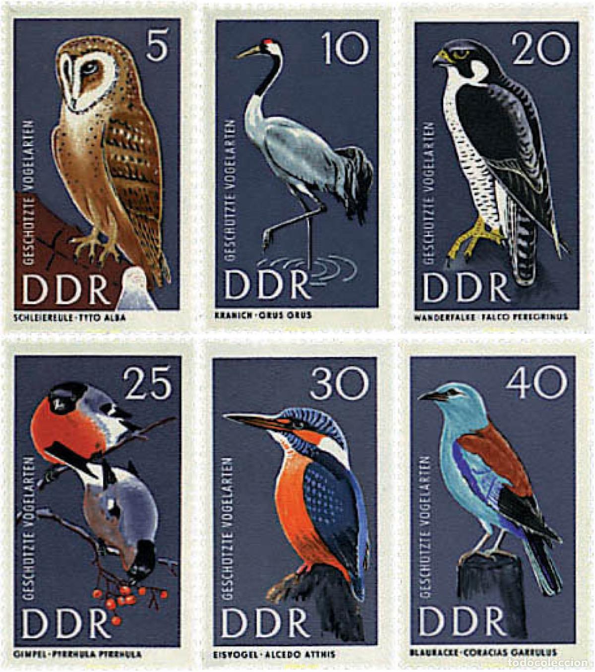 Sellos: 64523 MNH ALEMANIA DEMOCRATICA 1967 AVES