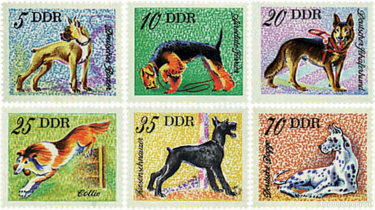 Sellos: 64602 MNH ALEMANIA DEMOCRATICA 1976 PERROS DE RAZA