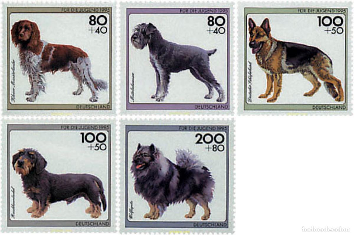 Sellos: 65078 MNH ALEMANIA FEDERAL 1995 PERROS DE RAZA