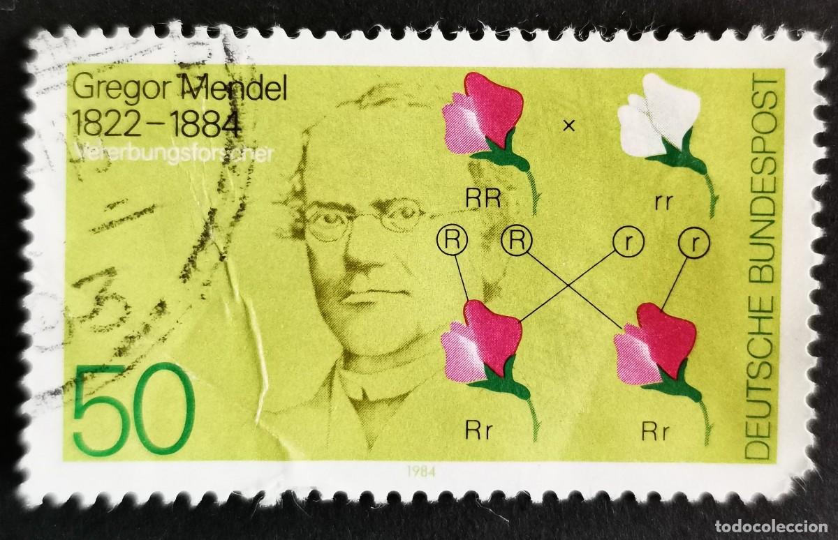 Sellos: Sello Alemania R. Federal 1984, Centenario de la muerte de Gregor Mendel, 50 Pf. Michel: DE 1199