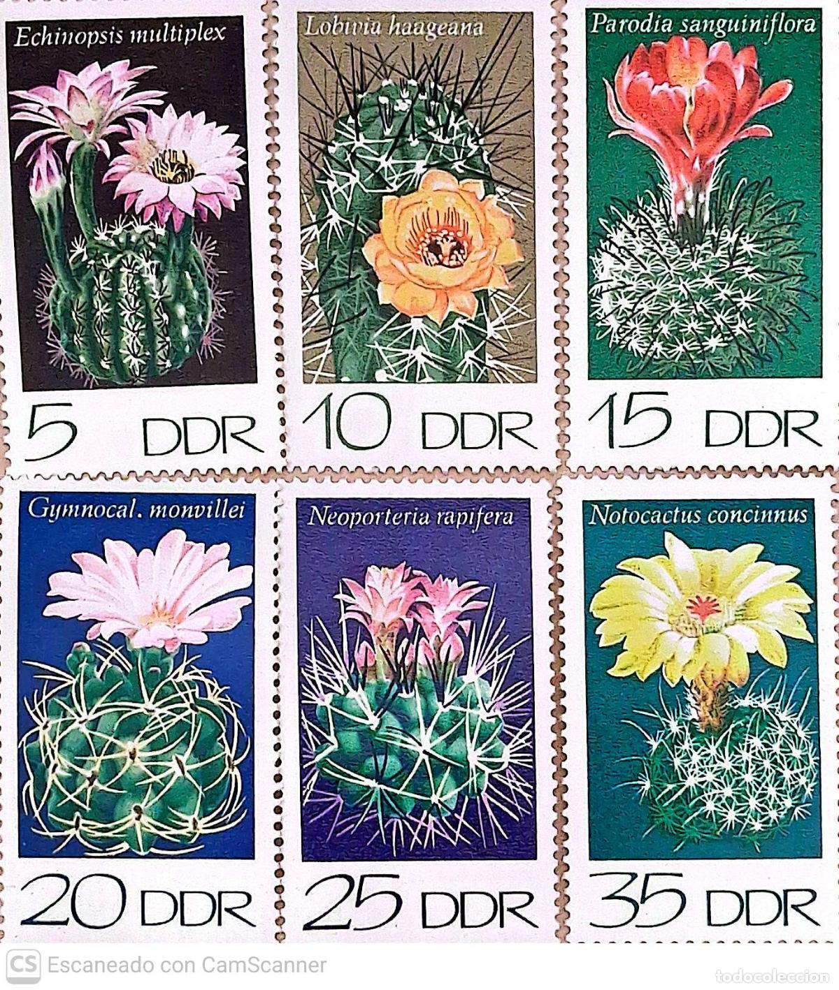 Sellos: DDR. 1602/07 Cactus cultivados. 1974. Sellos nuevos y numeraci&oacute;n Yvert.
