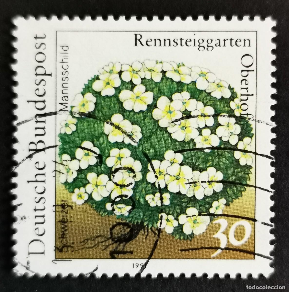 Sellos: Sello Alemania R. Federal 1991, Androsace (Androsace helvetica), 30 Pf. Michel: DE 1505