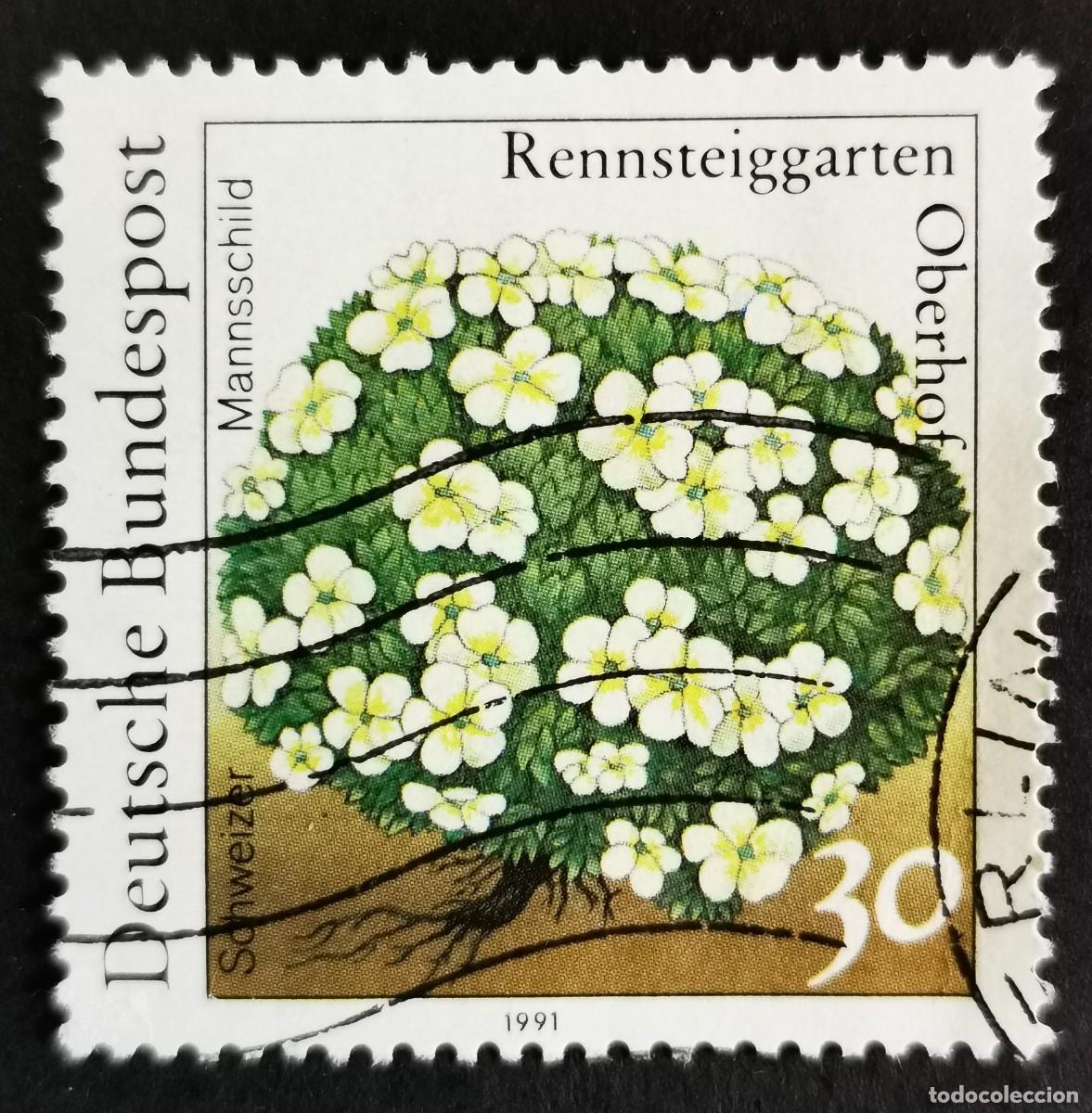 Sellos: Sello Alemania R. Federal 1991, Androsace (Androsace helvetica), 30 Pf. Michel: DE 1505