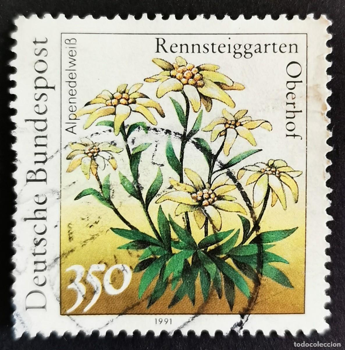Sellos: Sello Alemania R. Federal 1991, Edelweiss), 350 Pf. Michel: DE 1509