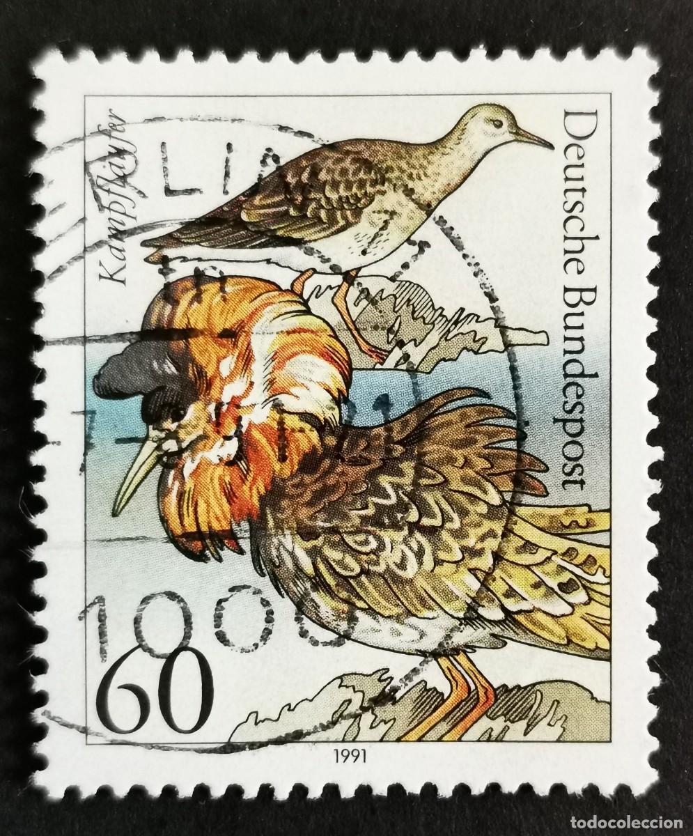 Sellos: Sello Alemania R. Federal 1991, Combatiente (Philomachus pugnax), 60 Pf. Michel: DE 1539