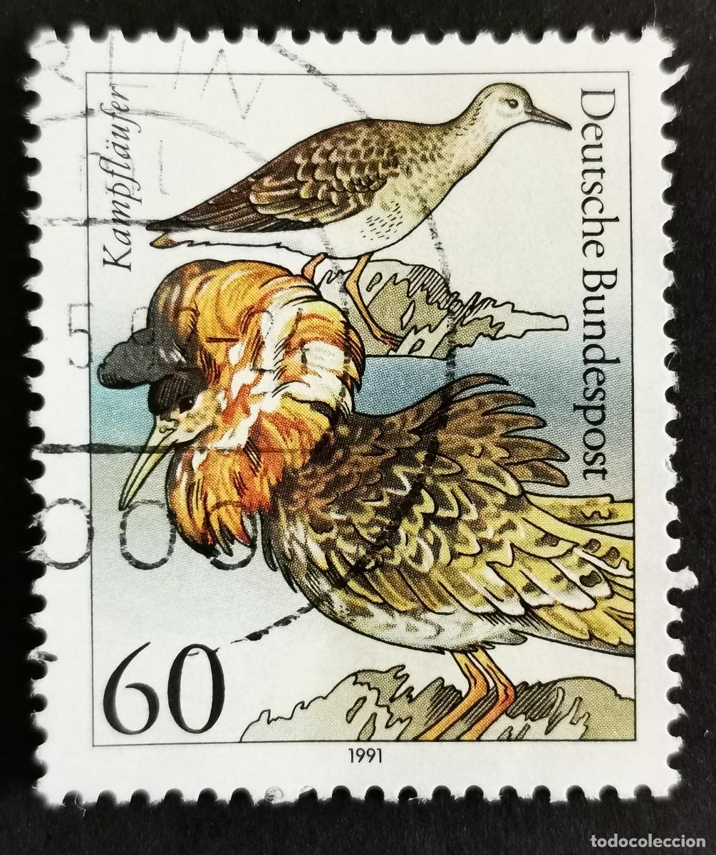 Sellos: Sello Alemania R. Federal 1991, Combatiente (Philomachus pugnax), 60 Pf. Michel: DE 1539