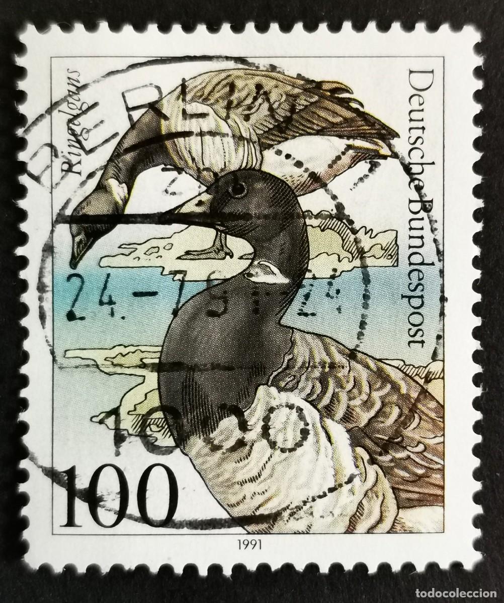 Sellos: Sello Alemania R. Federal 1991, Ganso de collar (Branta bernicla), 100 Pf. Michel: DE 1541