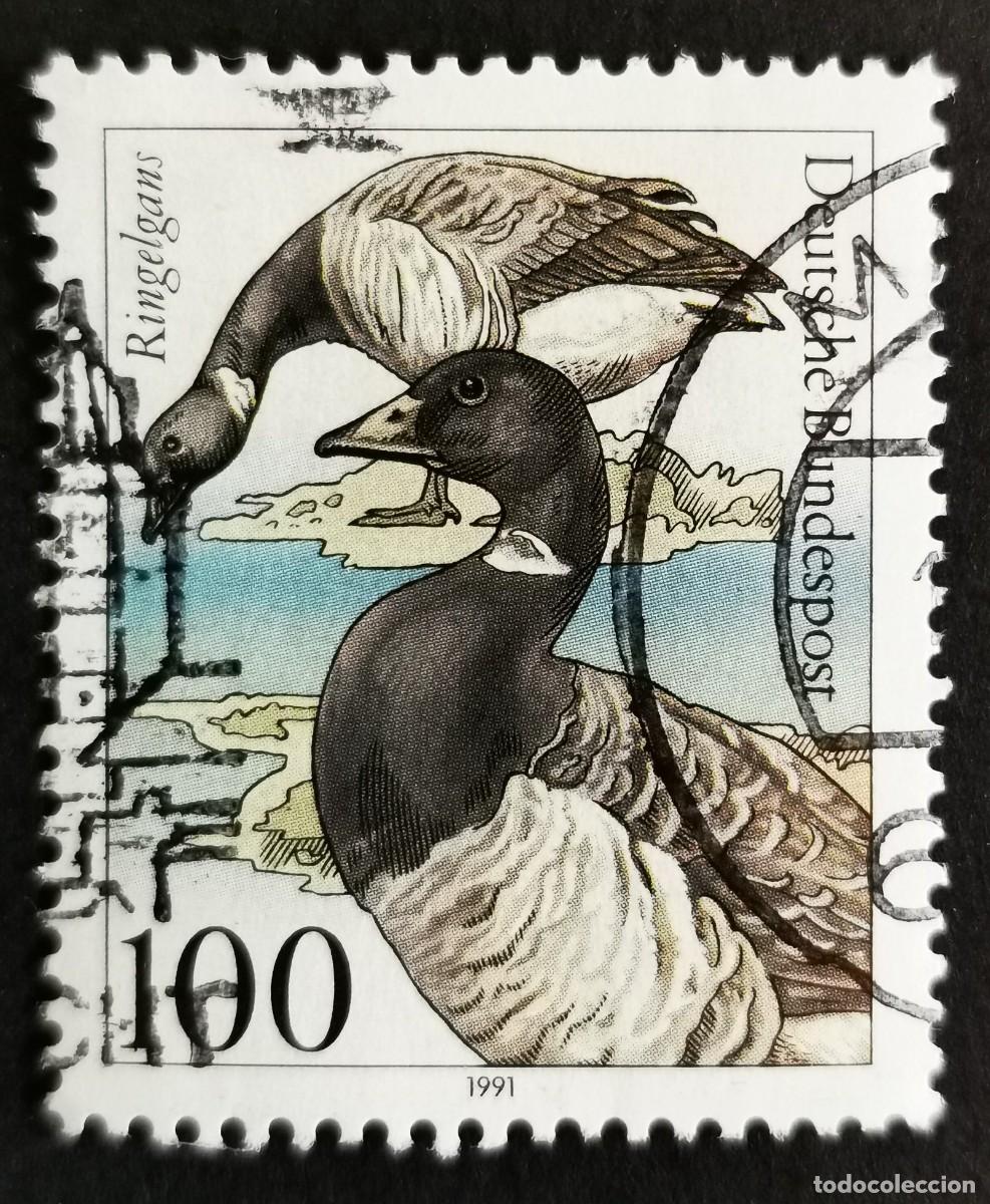 Sellos: Sello Alemania R. Federal 1991, Ganso de collar (Branta bernicla), 100 Pf. Michel: DE 1541