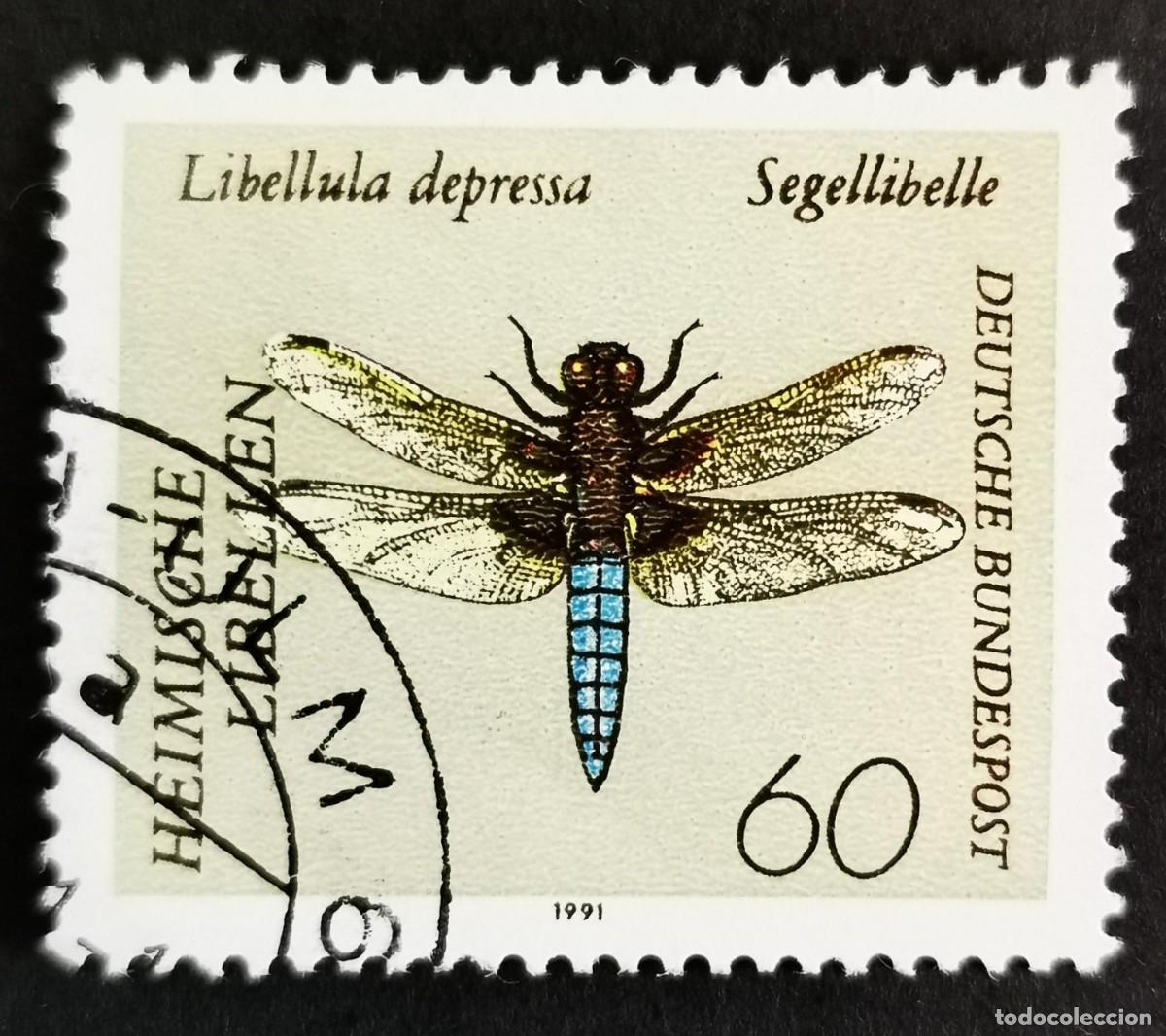 Sellos: Sello Alemania R. Federal 1991, Libellula depressa, de cuerpo ancho, 60 Pf. Michel: DE 1546