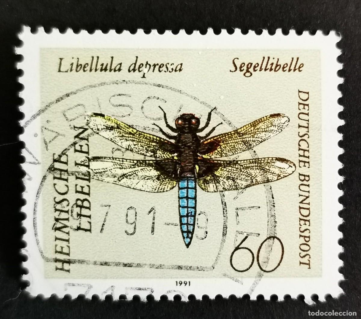 Sellos: Sello Alemania R. Federal 1991, Libellula depressa, de cuerpo ancho, 60 Pf. Michel: DE 1546