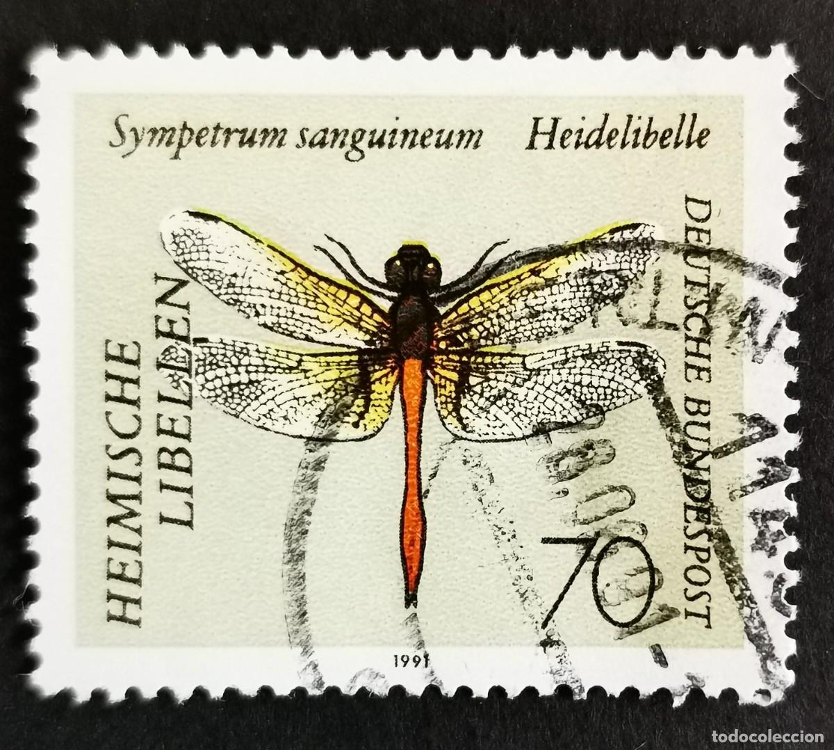 Sellos: Sello Alemania R. Federal 1991, Dardo Ruddy (Sympetrum sanguineum), 70 Pf. Michel: DE 1550