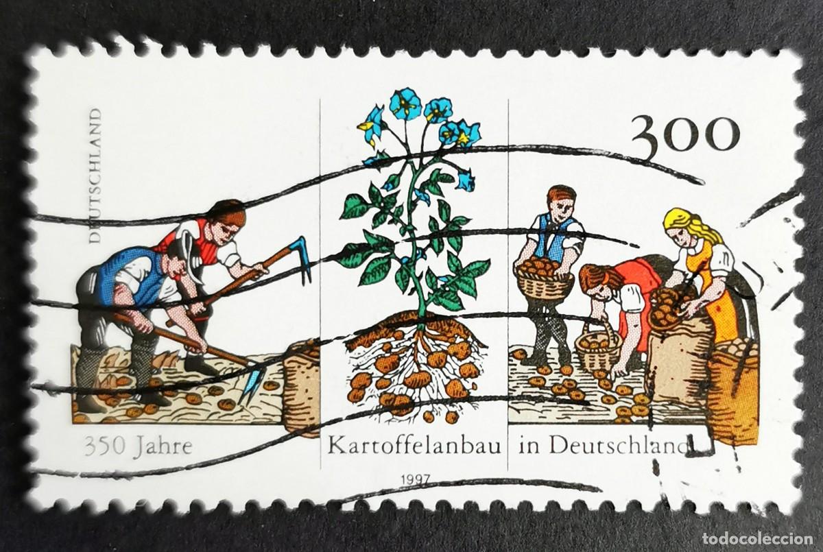 Sellos: Sello Alemania R. Federal 1997, Planta y cultivo de la patata, 300 Pf. Michel: DE 1946