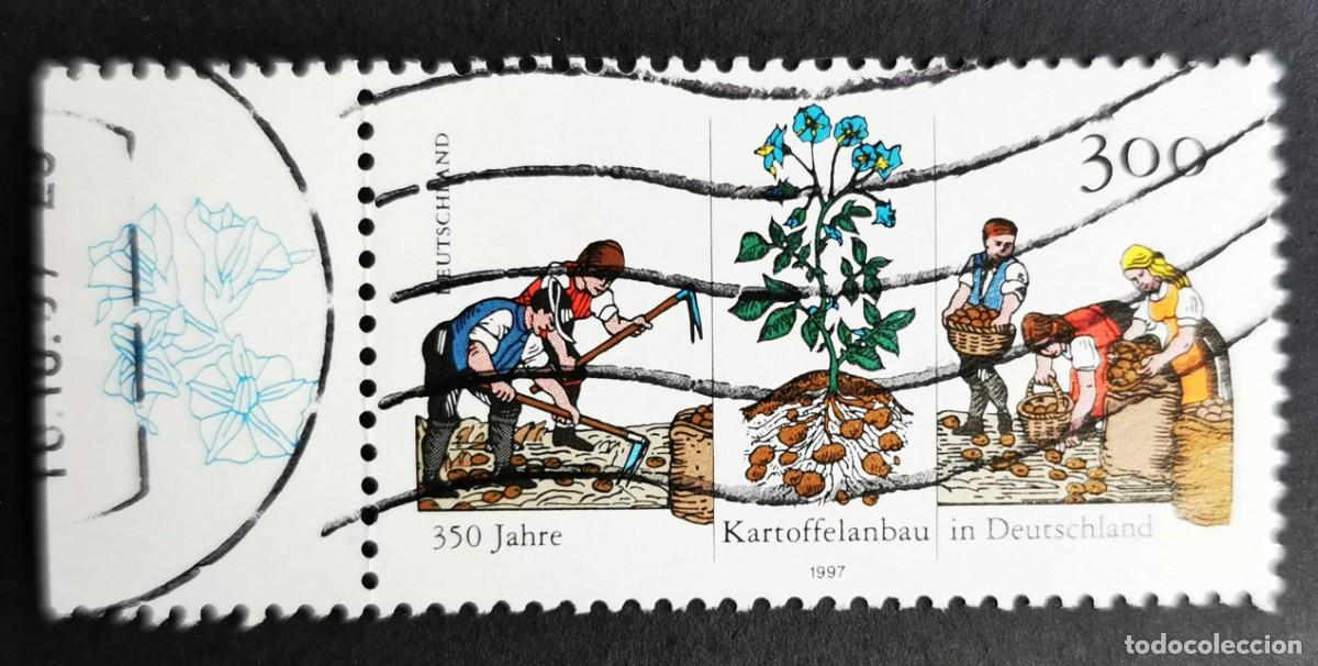 Sellos: Sello Alemania R. Federal 1997, Planta y cultivo de la patata, 300 Pf. Michel: DE 1946