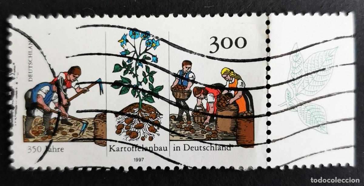 Sellos: Sello Alemania R. Federal 1997, Planta y cultivo de la patata, 300 Pf. Michel: DE 1946