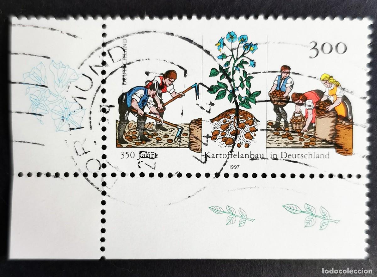 Sellos: Sello Alemania R. Federal 1997, Planta y cultivo de la patata, 300 Pf. Michel: DE 1946