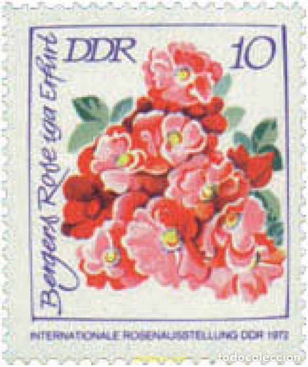 Sellos: 709409 MNH ALEMANIA DEMOCRATICA 1972 EXPOSICION INTERNACIONAL DE ROSAS